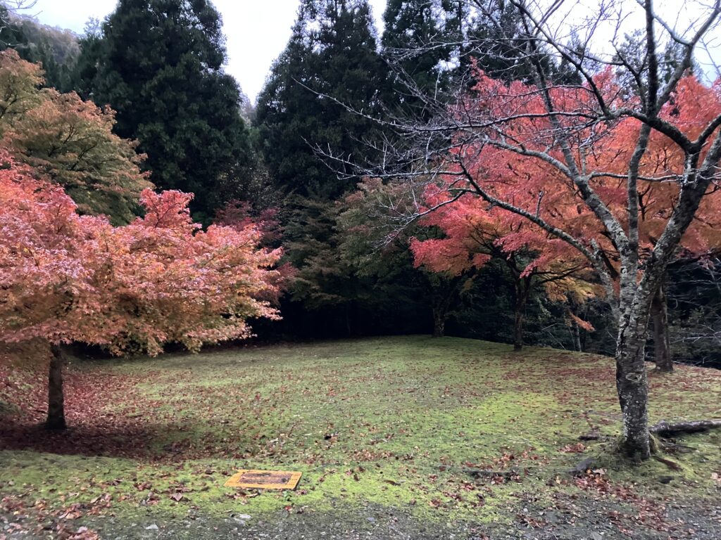 おおい久田の里森林公園の紅葉２