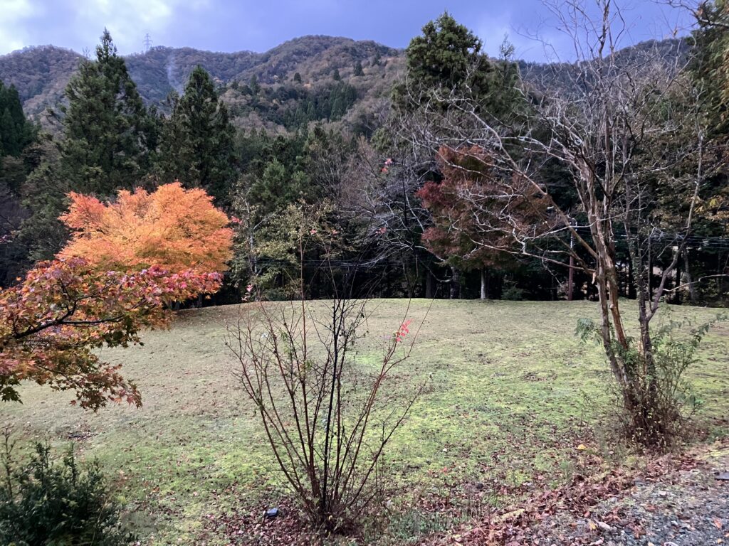 おおい久田の里森林公園の紅葉４