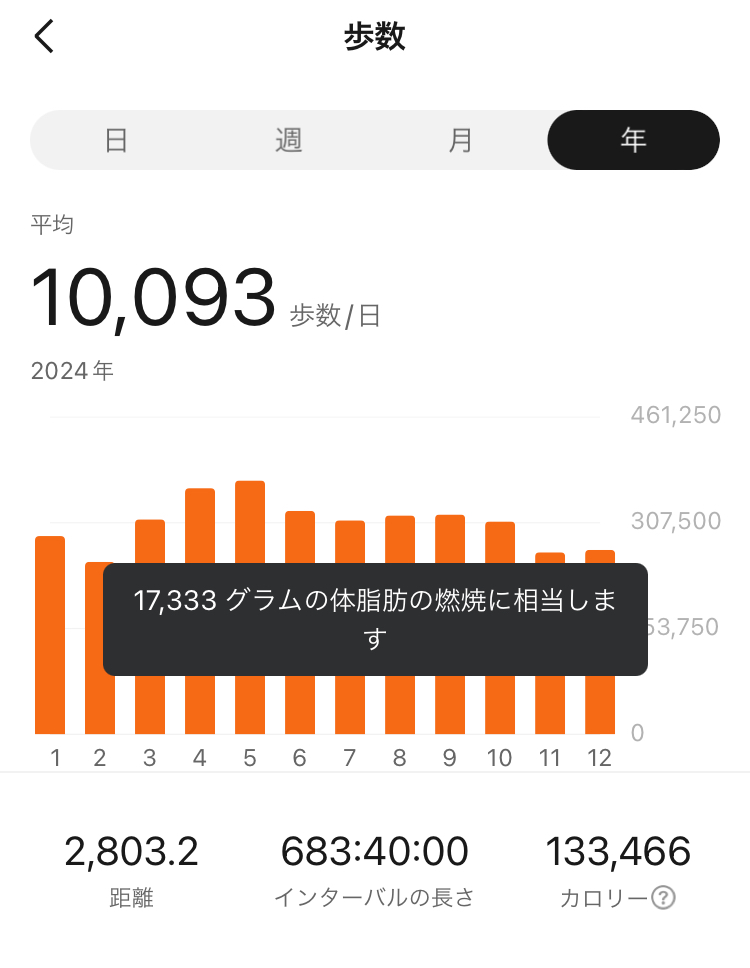 2024年の平均歩数